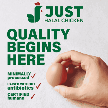 JUST HALAL BONELESS SKINLESS BREAST 20LB